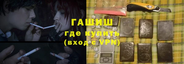эйфоретик Няндома