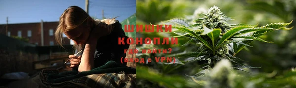 стаф Нягань