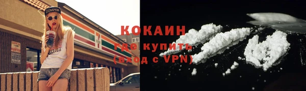 эйфоретик Няндома