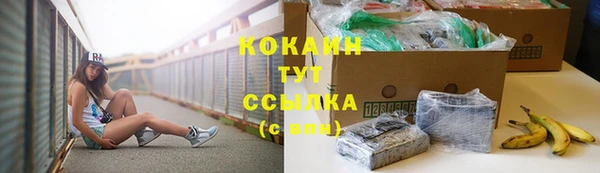 стаф Нягань