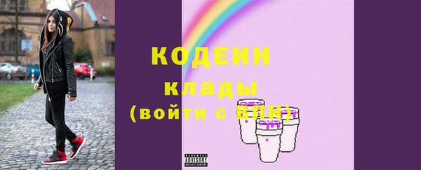 эйфоретик Няндома