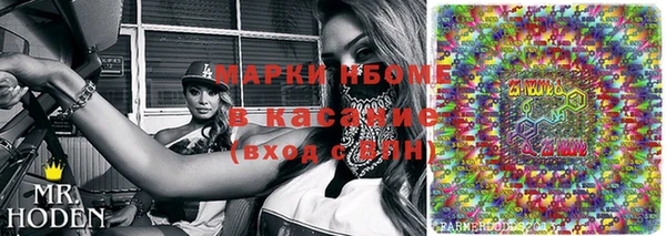 эйфоретик Няндома