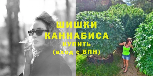 эйфоретик Няндома