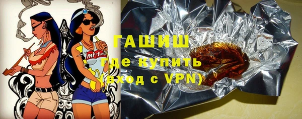 эйфоретик Няндома