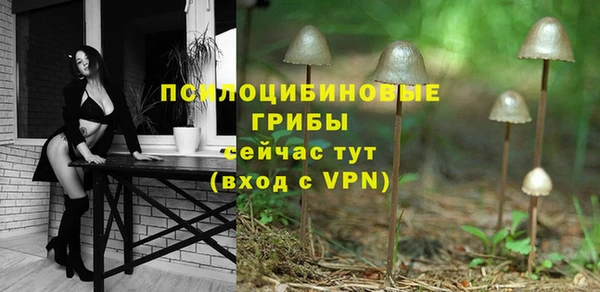 эйфоретик Няндома