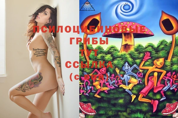 эйфоретик Няндома