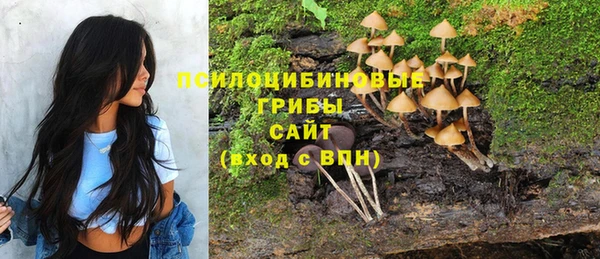 эйфоретик Няндома