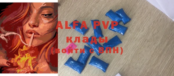 эйфоретик Няндома