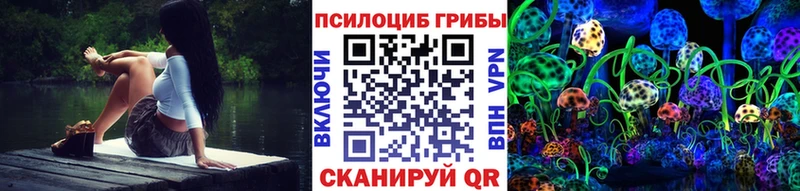 Галлюциногенные грибы мицелий  Правдинск 