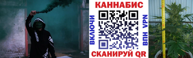 как найти наркотики  Правдинск  Шишки марихуана планчик 